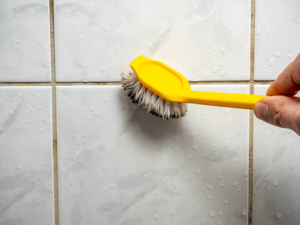 Best Professional Mold Removal  in Mcewen, TN